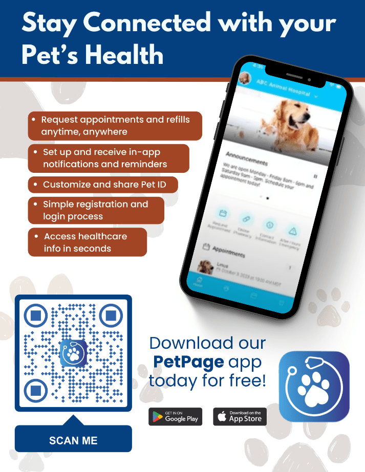 PetPage App, Stephenville